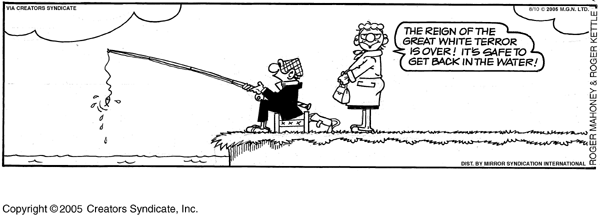 andycapp